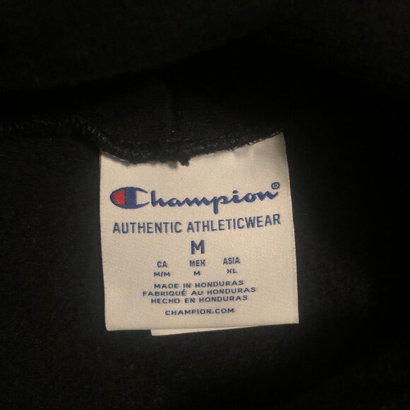 Turnover Band Hoodie Champion Medium Black Blue Bird Graphic Concert Merch - Picture 4 of 4